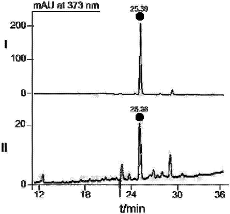 Camptotheca endophytic bacterium LY214 for producing camptothecin and application thereof