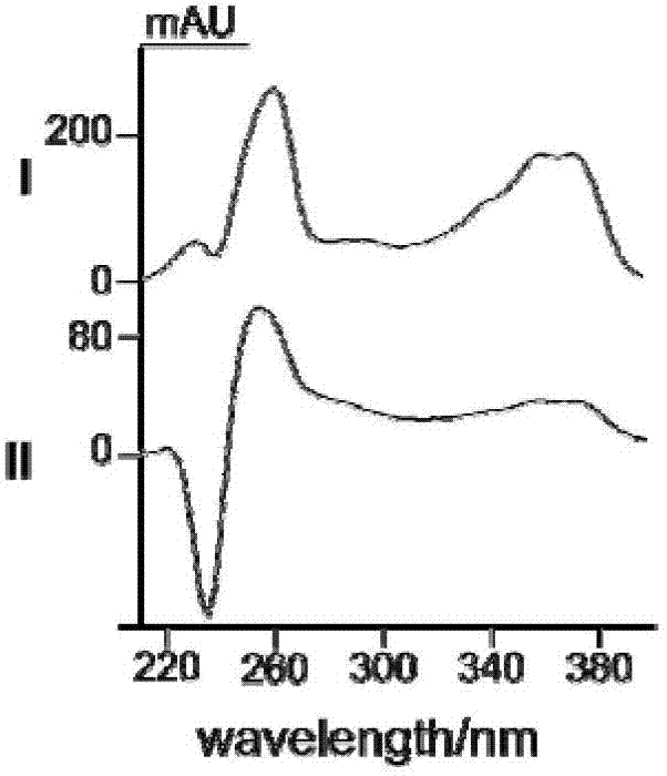 Camptotheca endophytic bacterium LY214 for producing camptothecin and application thereof