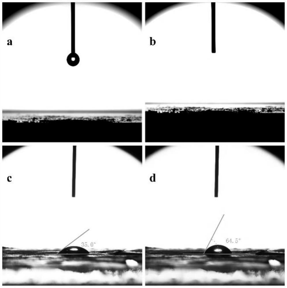 Traditional Chinese medicine compound polysaccharide-silver nano liquid band-aid and preparation method thereof