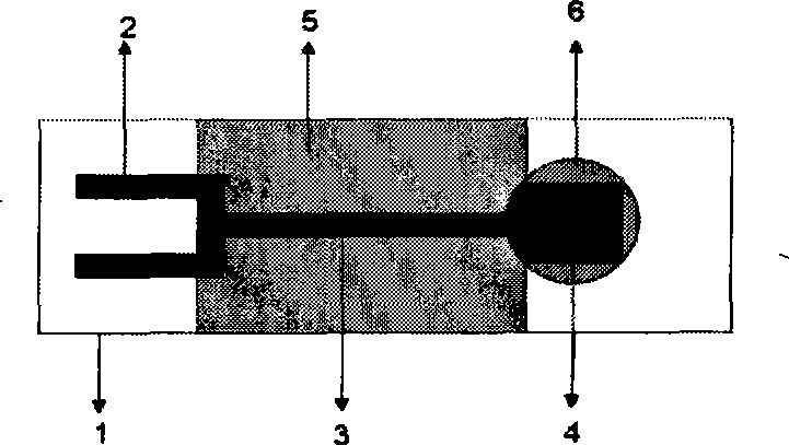 Sensing electrode for detecting chloramphenicol and method for producing molecular imprinting film thereof