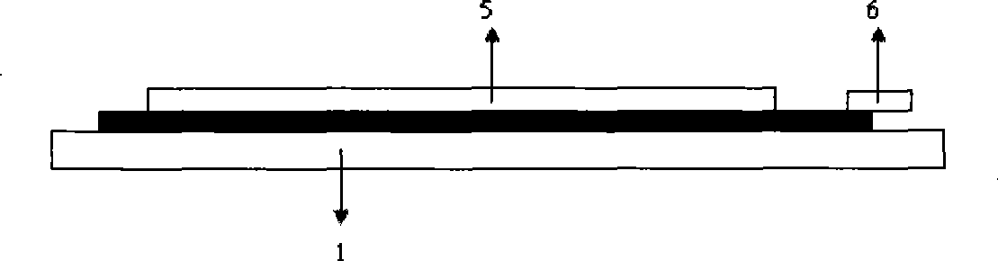 Sensing electrode for detecting chloramphenicol and method for producing molecular imprinting film thereof