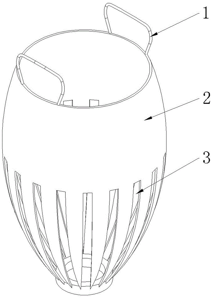 Method for planting zingiber striolatum diels