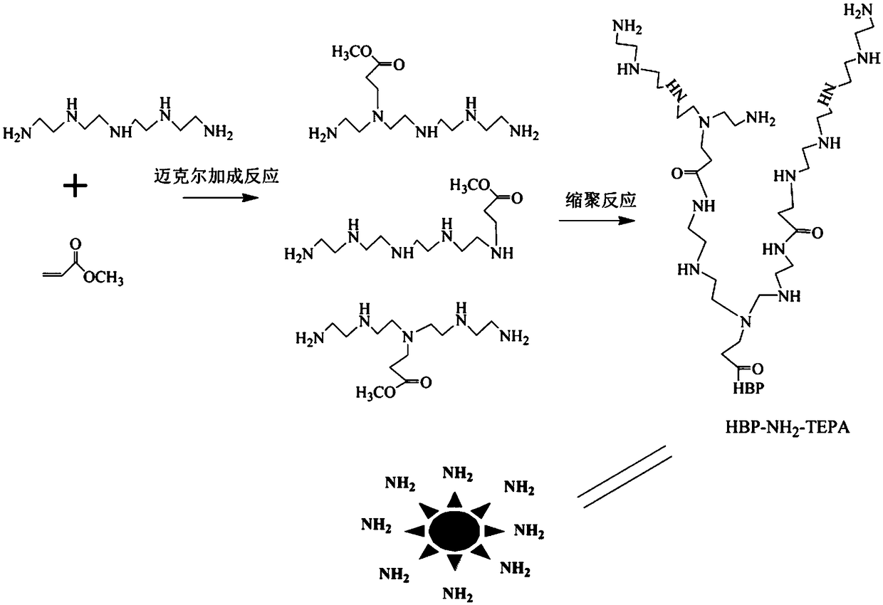 Preparation and application for amine-terminated hyperbranched polymer grafted graphene oxide magnetic anion adsorbent