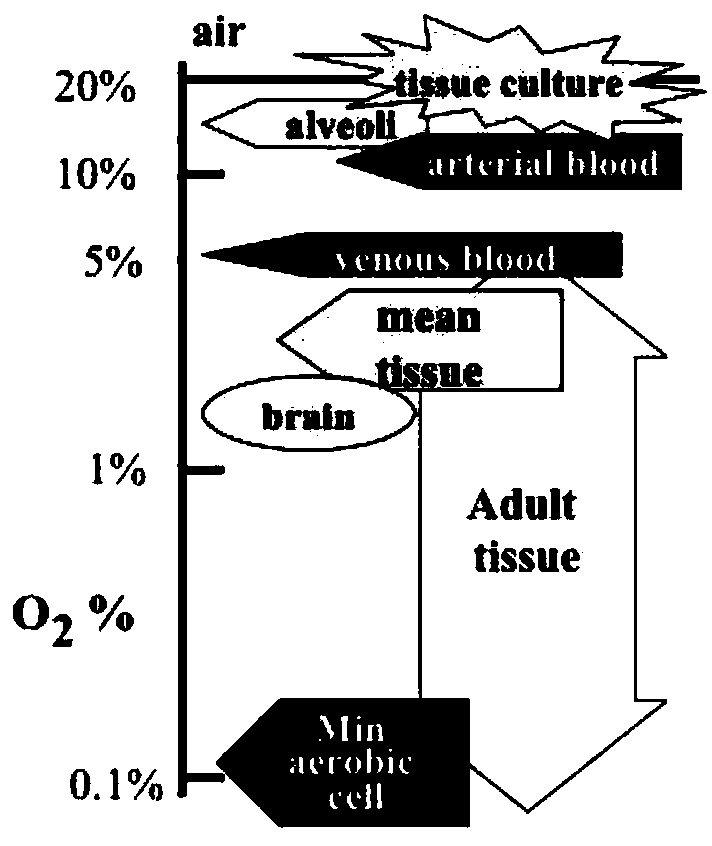 Method for acquiring hematopoietic stem cells from placenta in low-oxygen environment