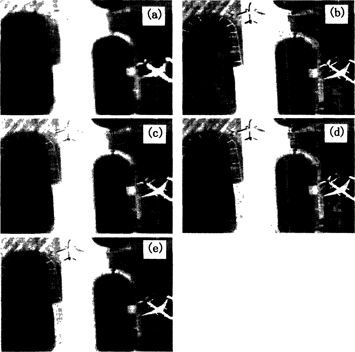 Image optimum fusing method based on fuzzy integral