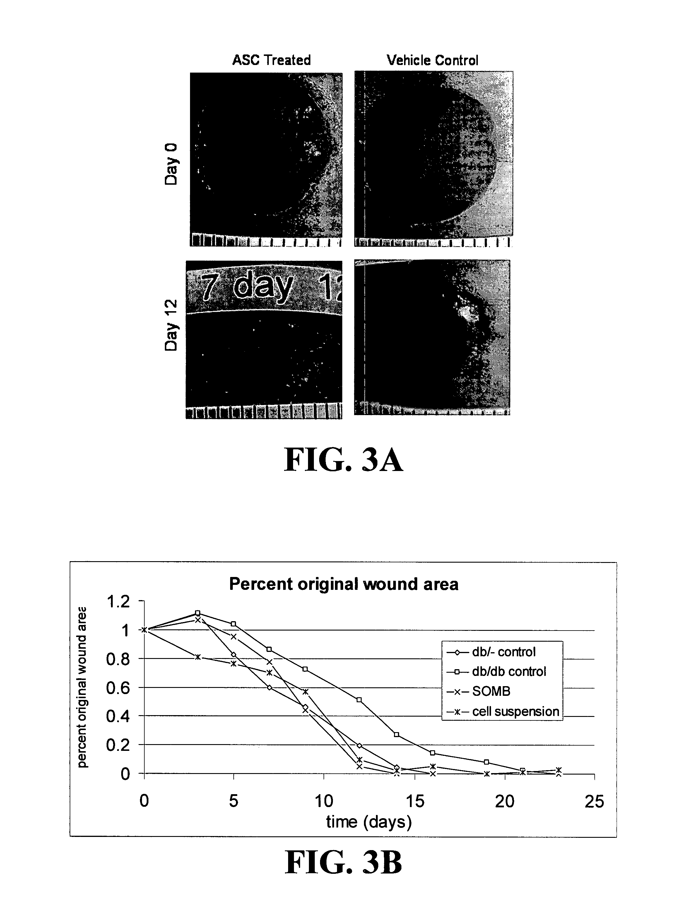 Methods and compositions useful for diabetic wound healing