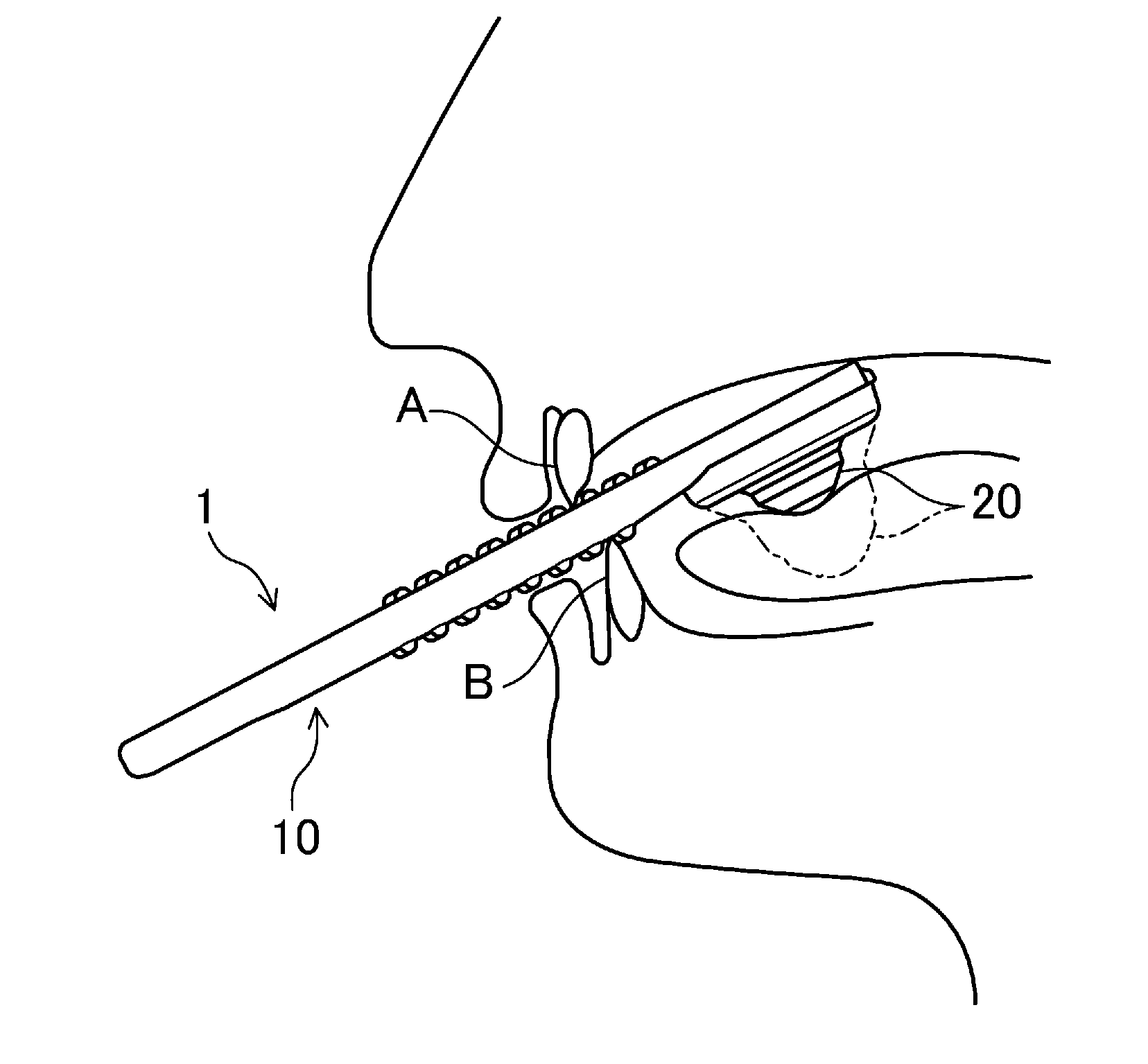 Oral cavity function training tool