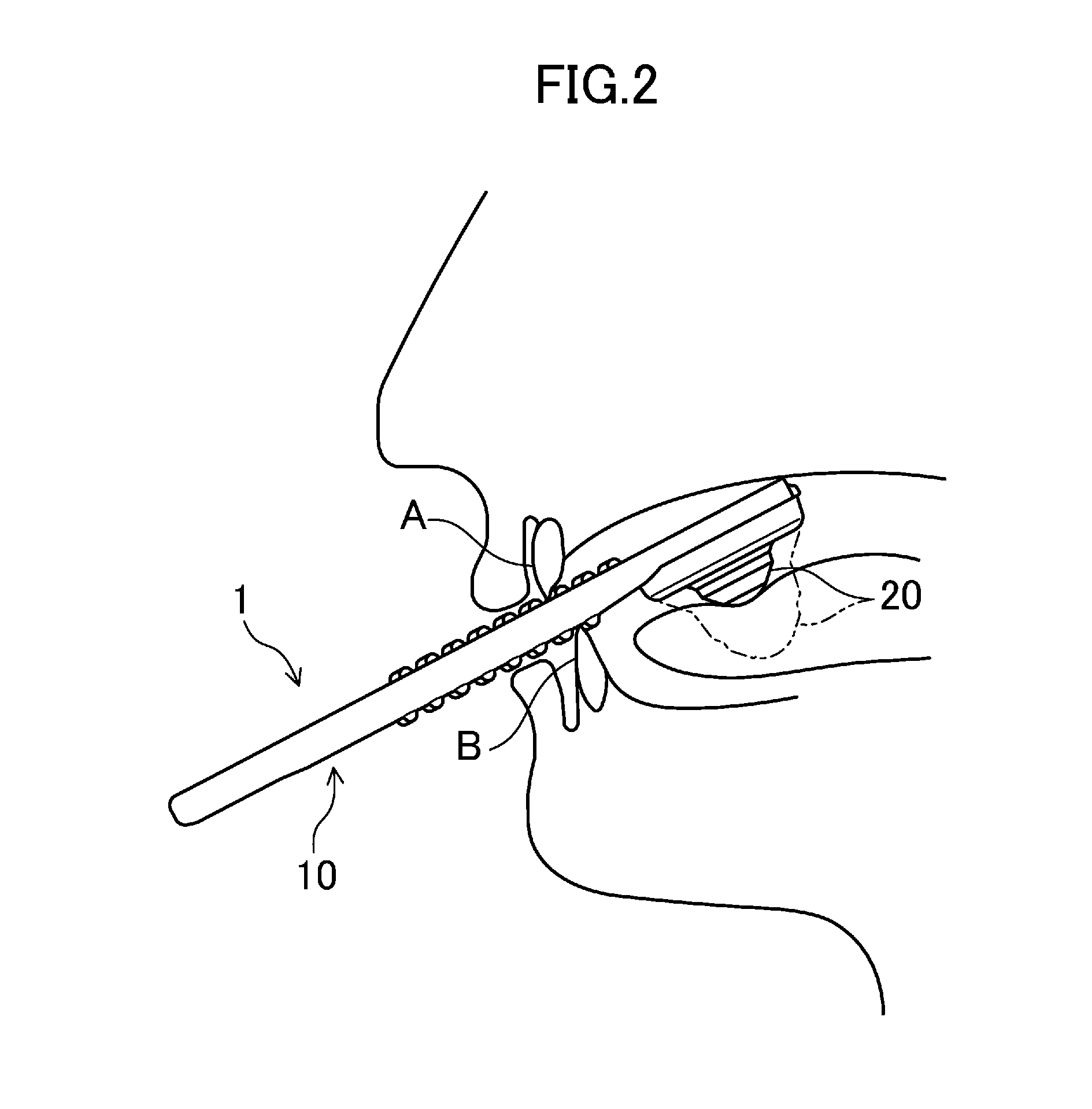 Oral cavity function training tool