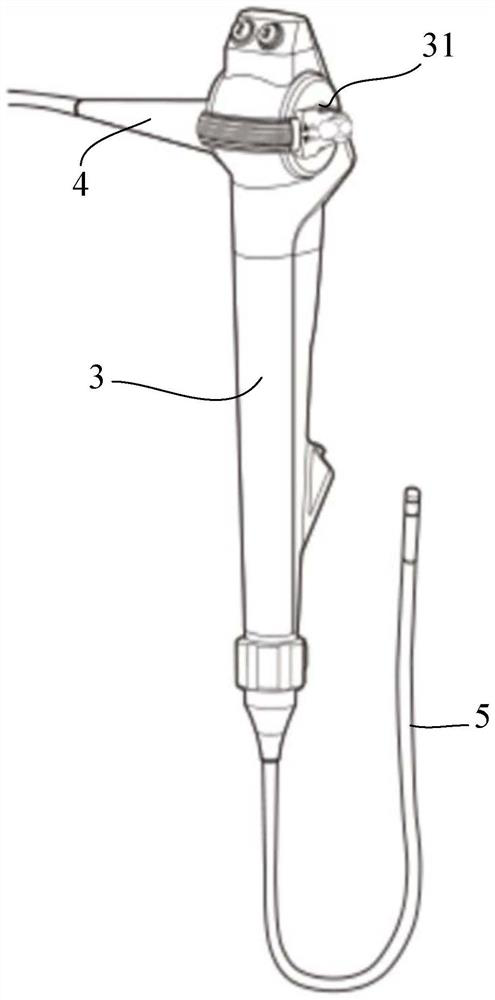 Endoscope handle, endoscope and endoscope system