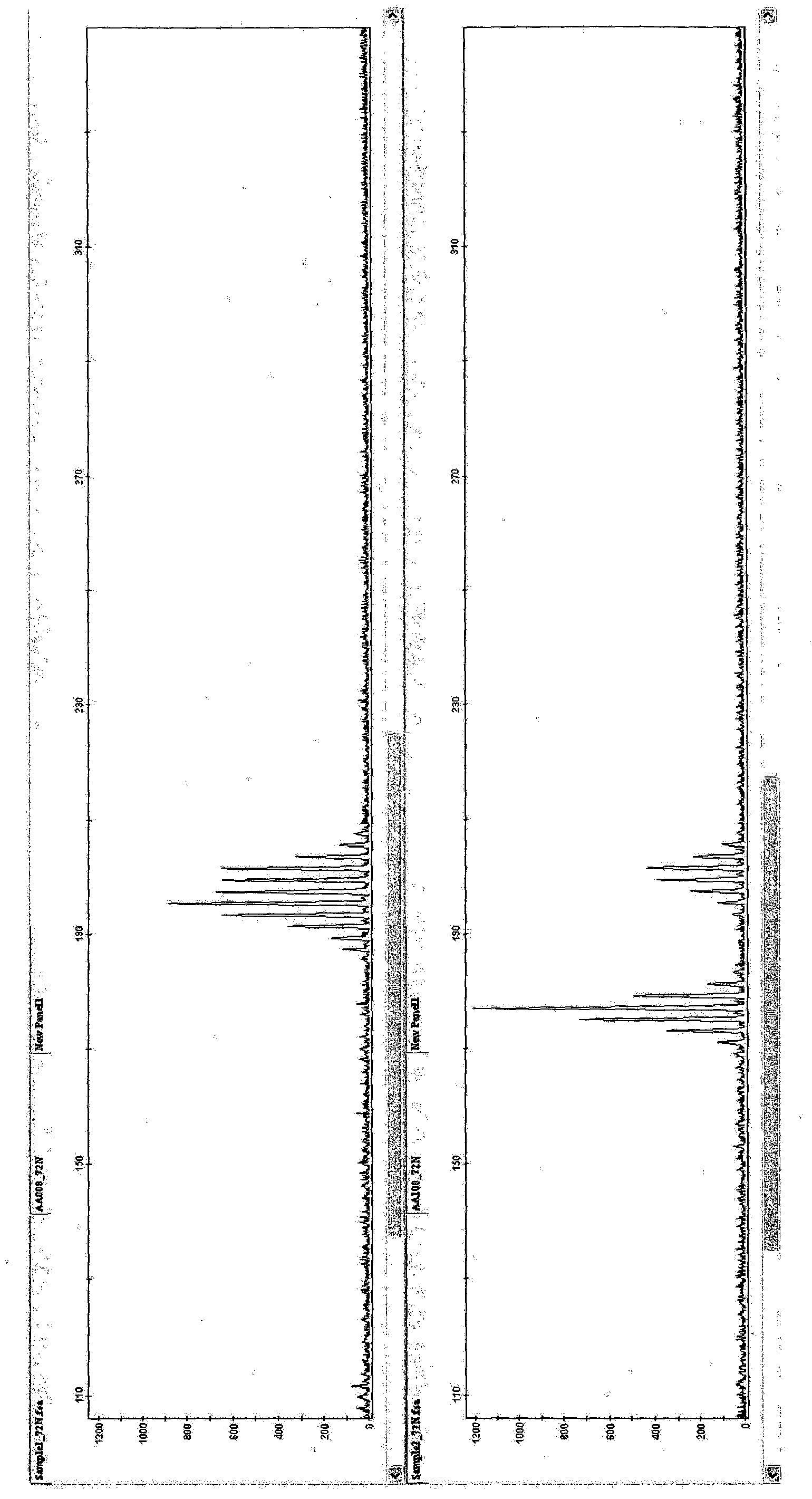 SSR markers for plants and uses thereof