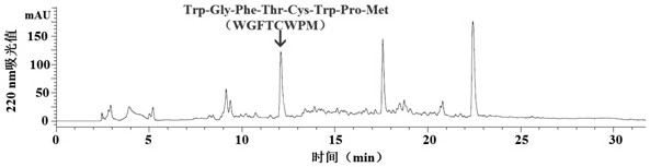 Preparation method of zinc chelating peptide from shrimp leftovers