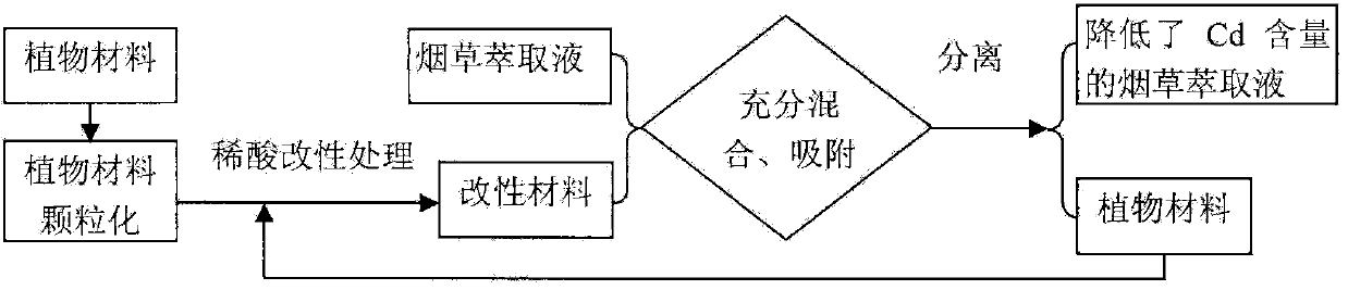 Plant material adsorbent for reducing cadmium content of tobacco extracting liquid and application of plant material adsorbent