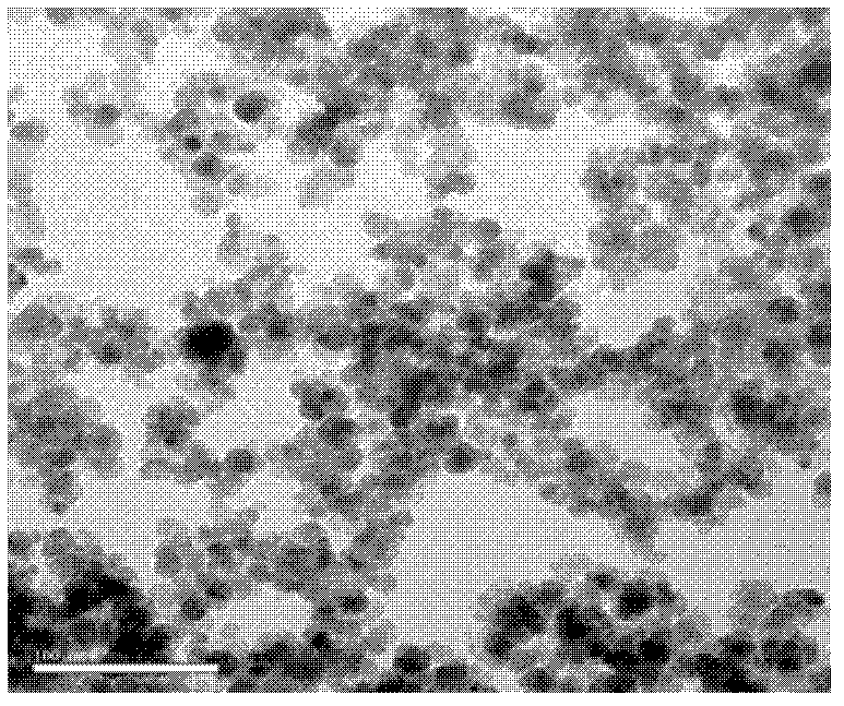 Preparation method of magnetic molecularly imprinted polymer for separating/purifying sudan I