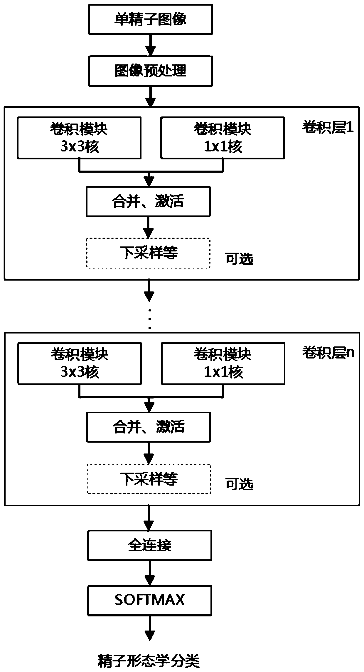 Sperm morphology analysis method based on deep neural network model