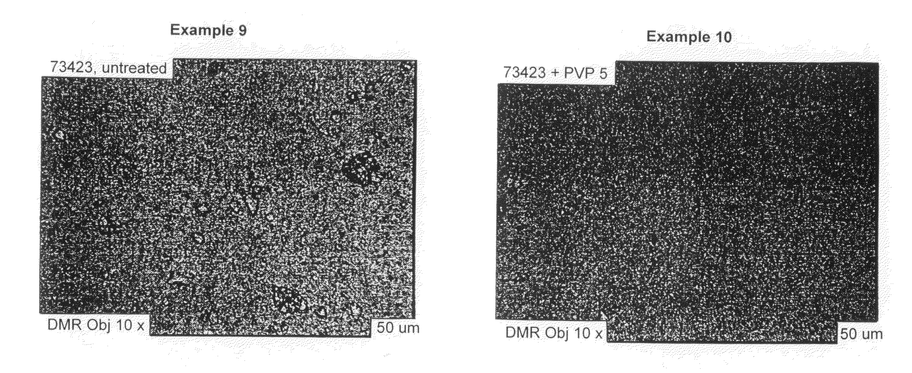 Aqueous photoprotective compositions comprising hydrophilic metal oxide nanopigments and vinylpyrrolidone homopolymers