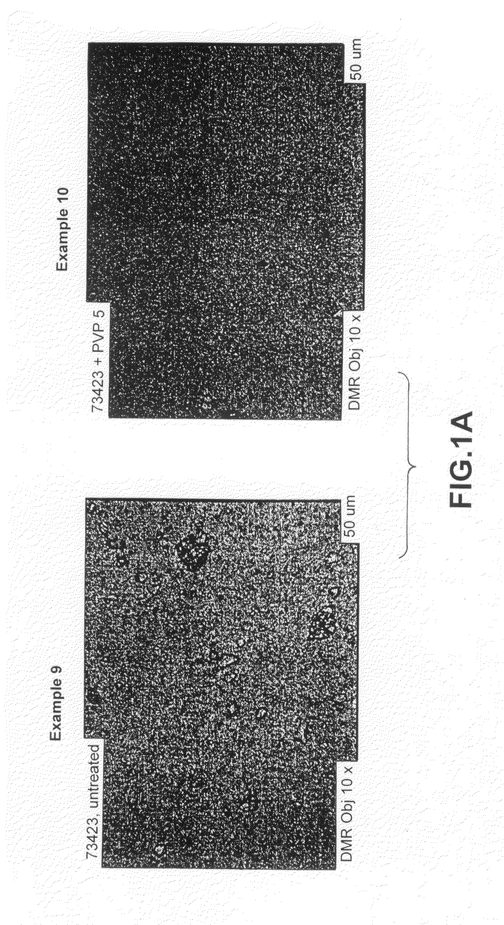 Aqueous photoprotective compositions comprising hydrophilic metal oxide nanopigments and vinylpyrrolidone homopolymers