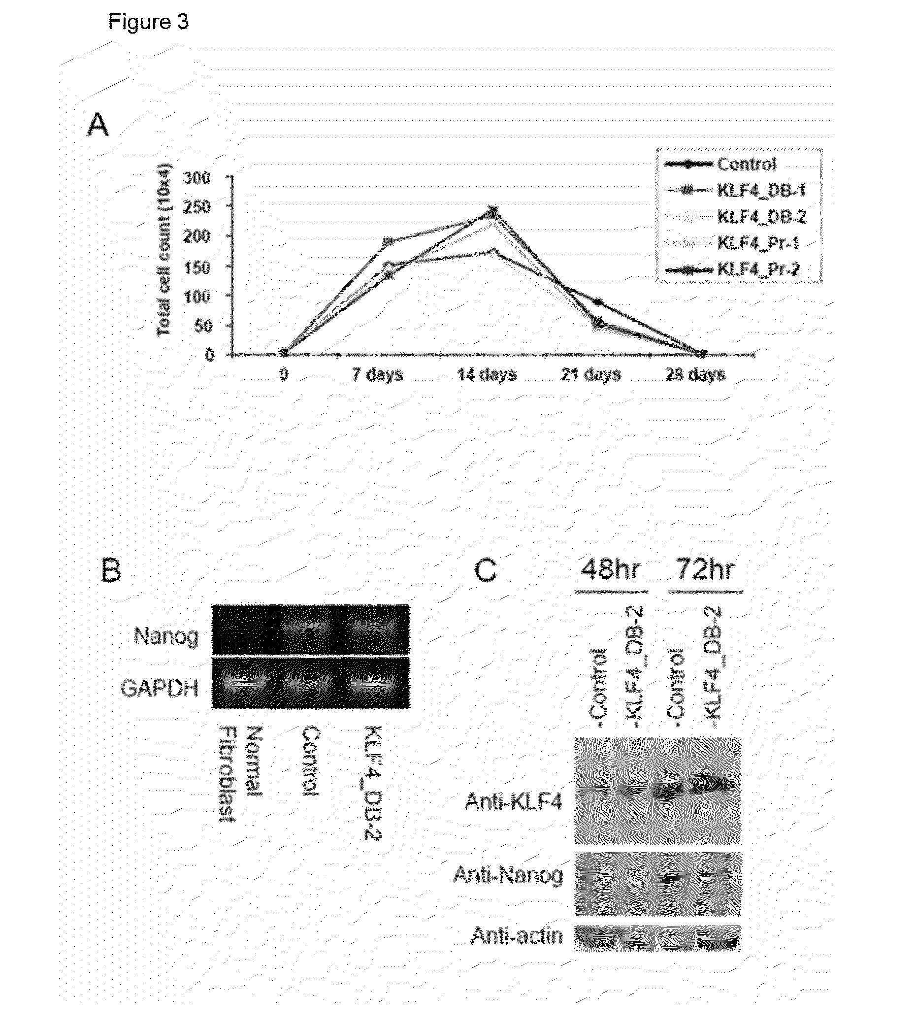 RNA molecules and uses thereof