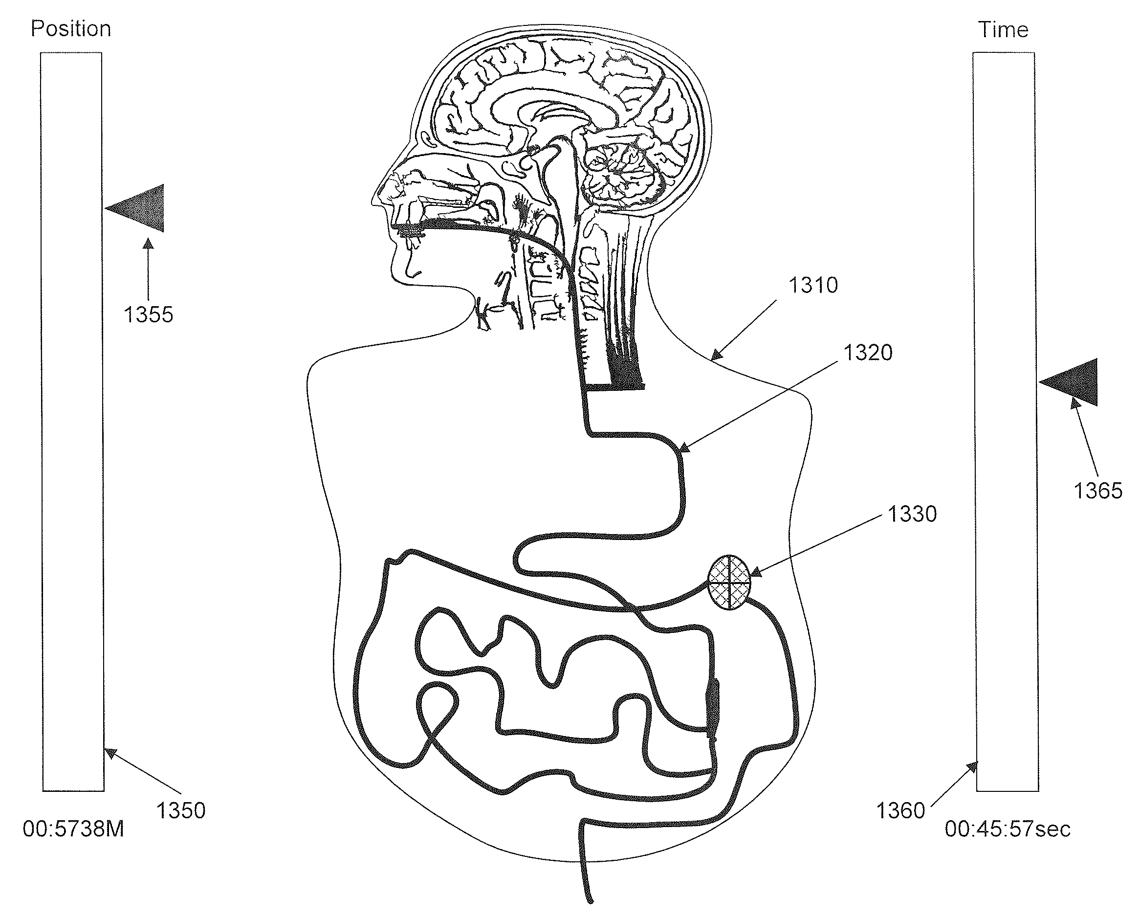 Displaying Image Data From A Scanner Capsule