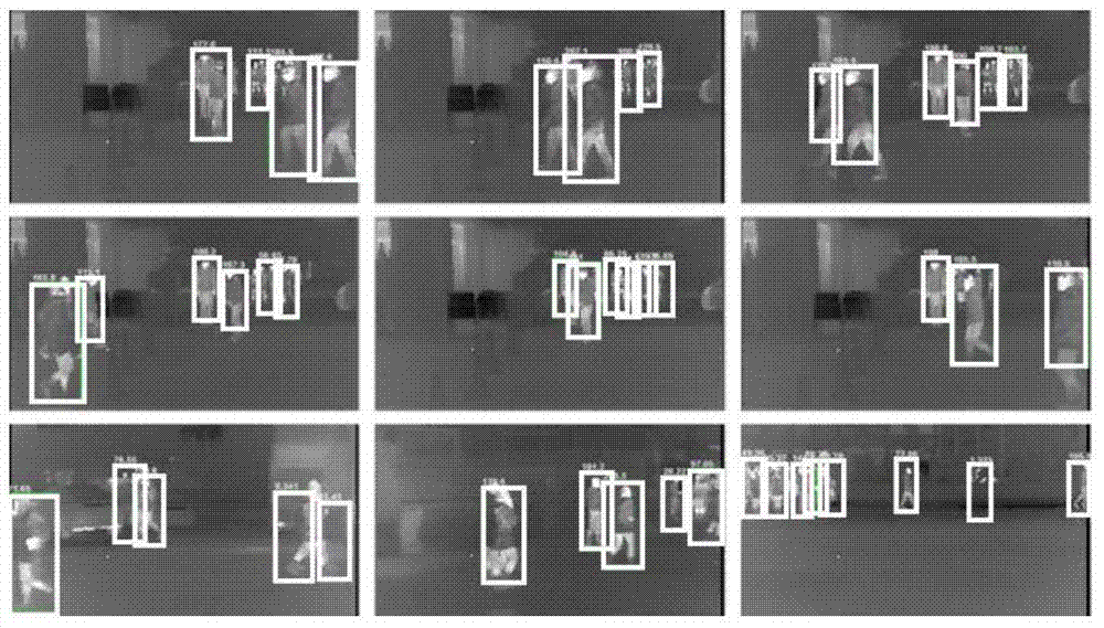 Night pedestrian detection method based on statistical features of infrared pedestrian brightness