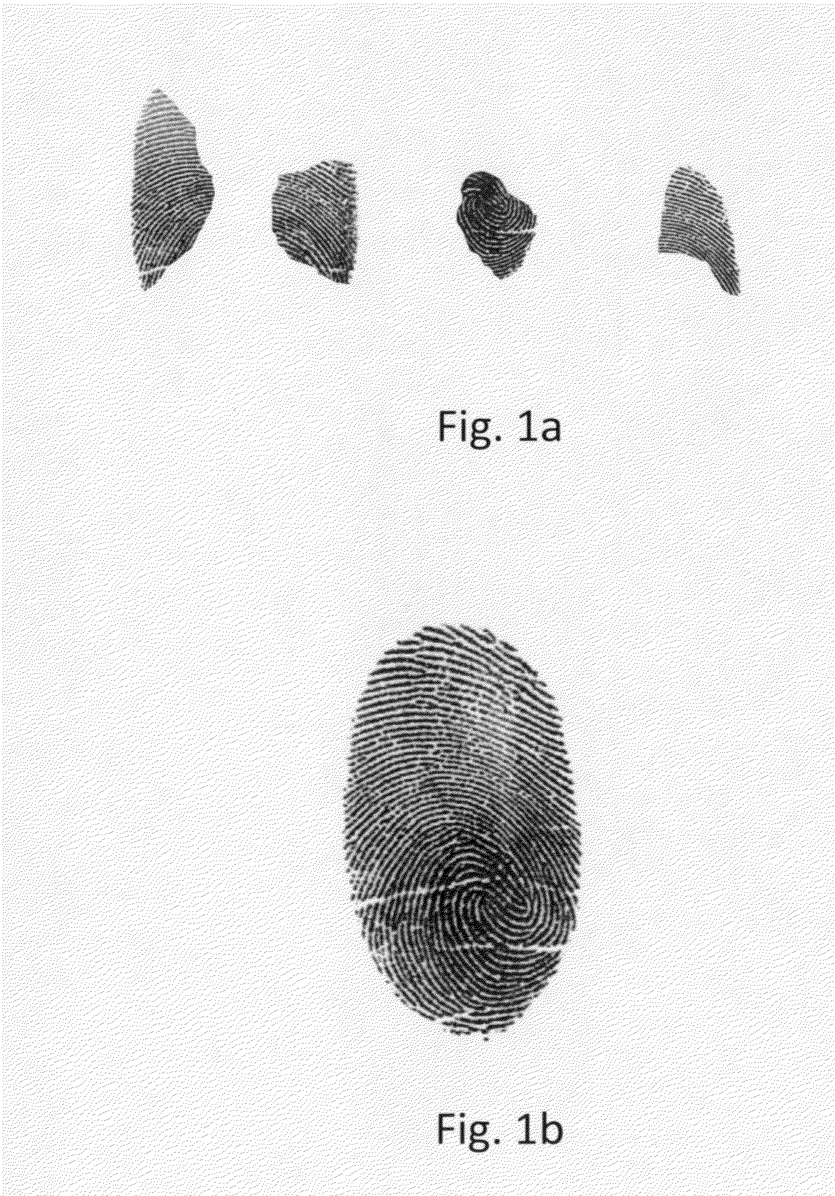 Systems and methods for ridge-based fingerprint analysis