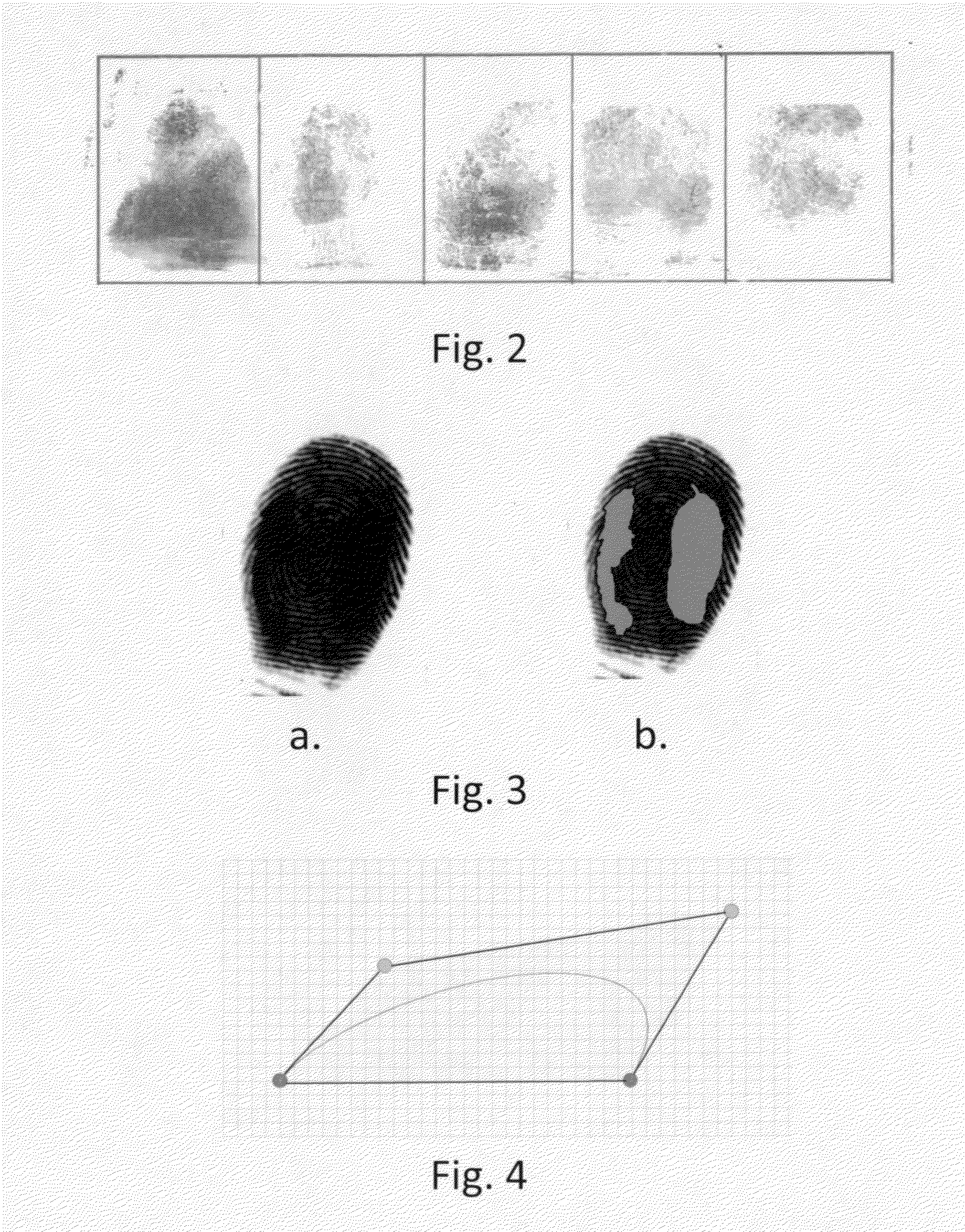 Systems and methods for ridge-based fingerprint analysis