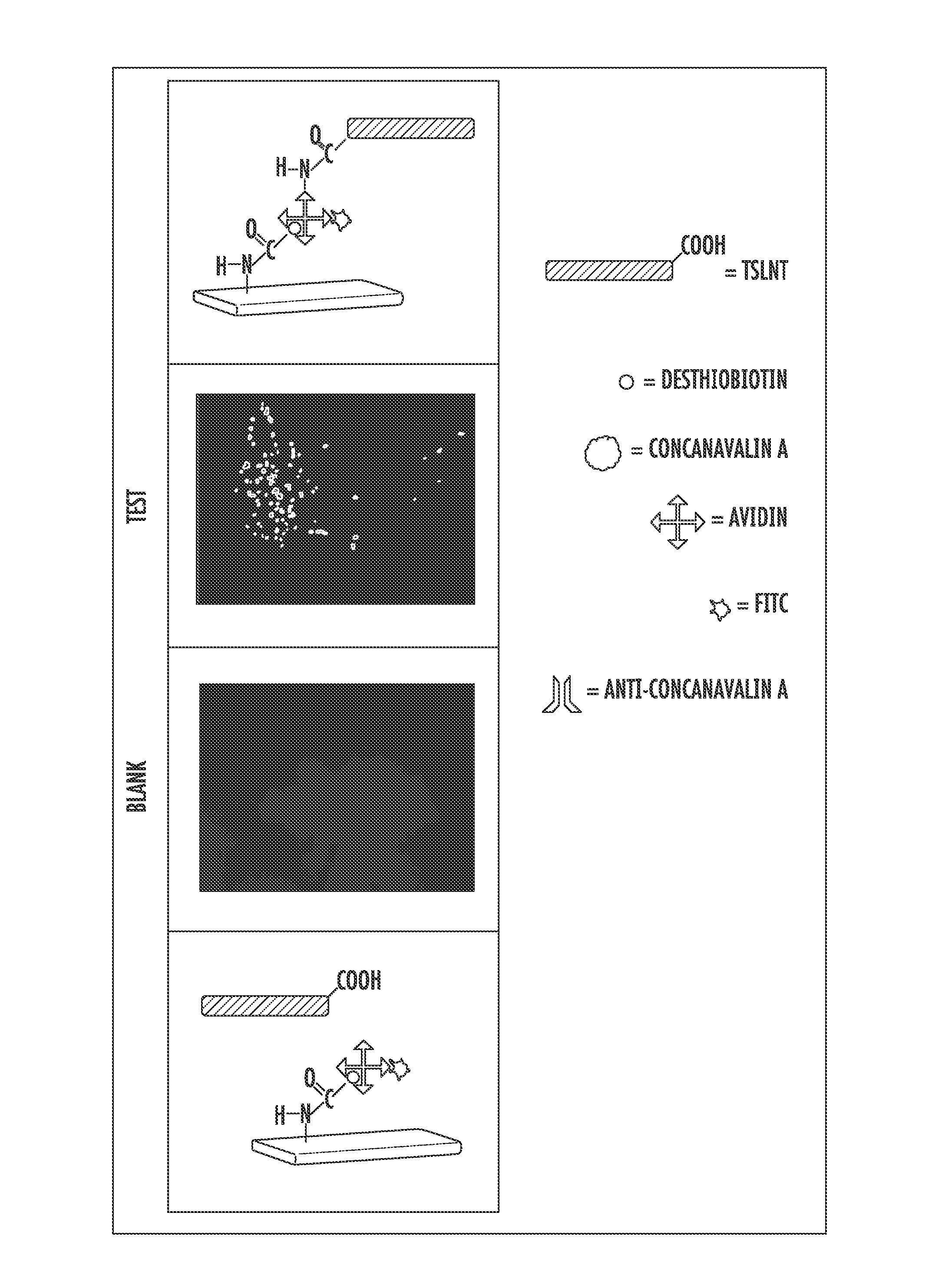 Lignin-based nanostructures