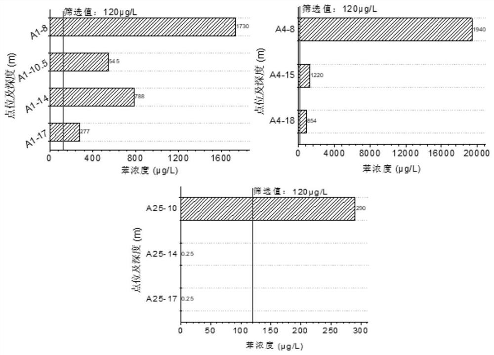 Method for determining underground water pollution plume profile morphology and stratification characteristics