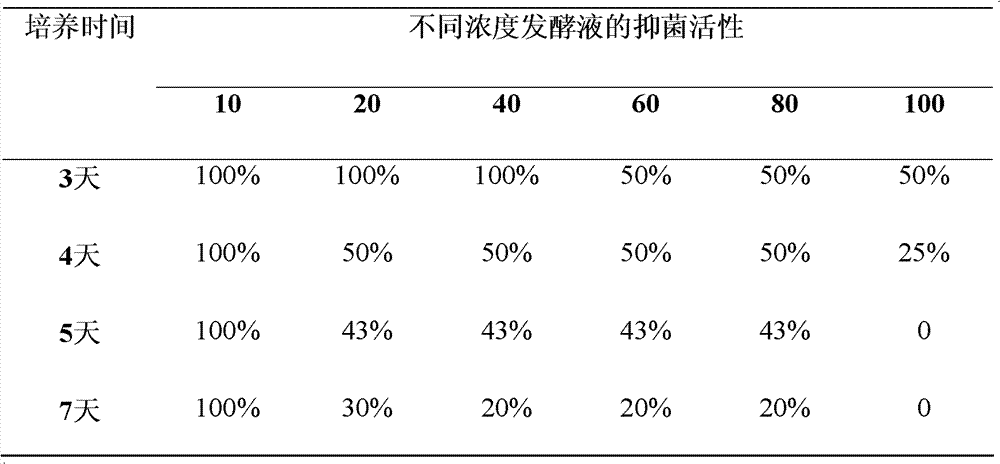 Penicillium capable of resisting false smut of rice and application thereof