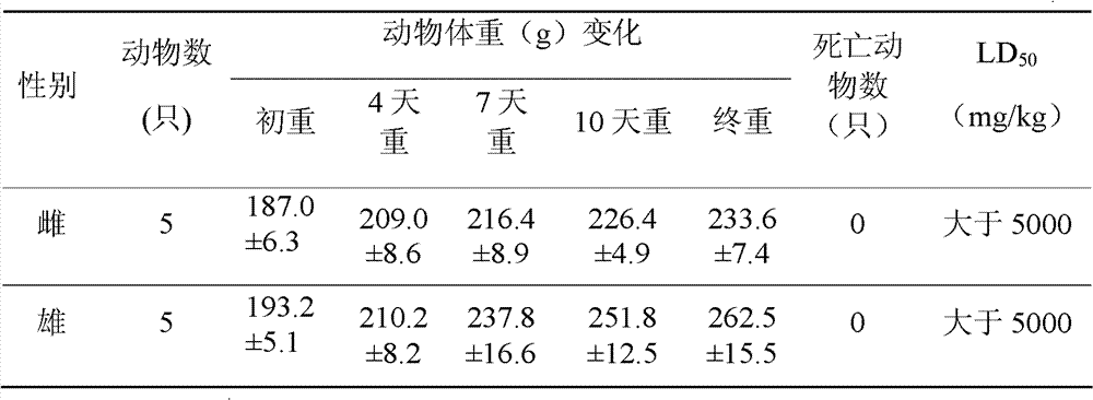 Penicillium capable of resisting false smut of rice and application thereof