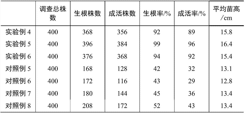 Sakura cutting medium and preparation method thereof and method for using medium for cutting propagation