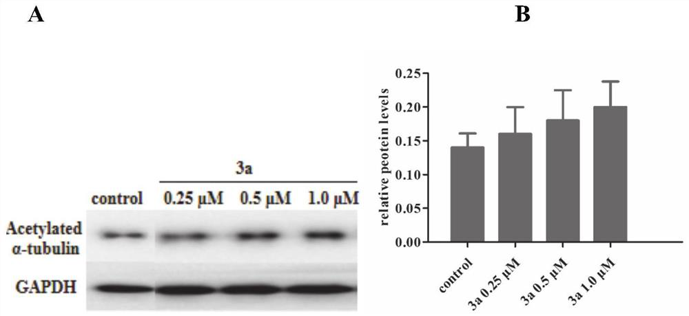 Compound for improving acetylation level of alpha-tubulin as well as preparation method and application of compound