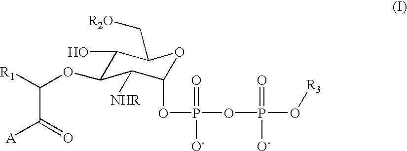 Substrate analogs for MurG, methods of making same and assays using same