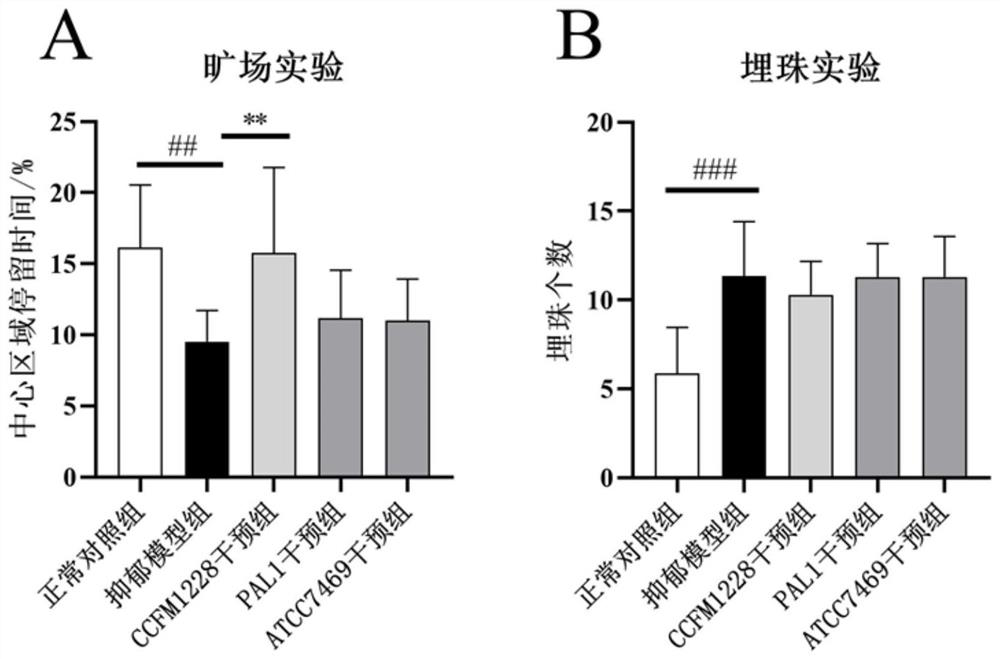 Lactobacillus rhamnosus CCFM1228 with functions of relieving depressive emotion and promoting intestinal tract to secrete IgA (Immunoglobulin A) and application of lactobacillus rhamnosus CCFM1228