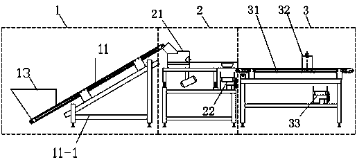 Automatic sorting equipment of red date cockles