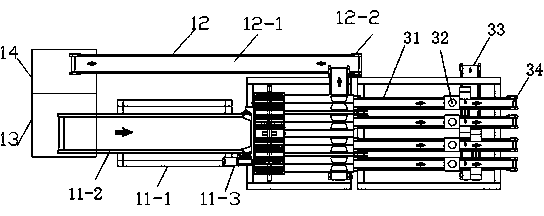 Automatic sorting equipment of red date cockles