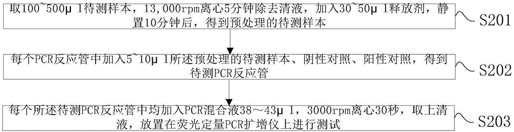 Kit and method for detecting Acinetobacter baumannii DNA