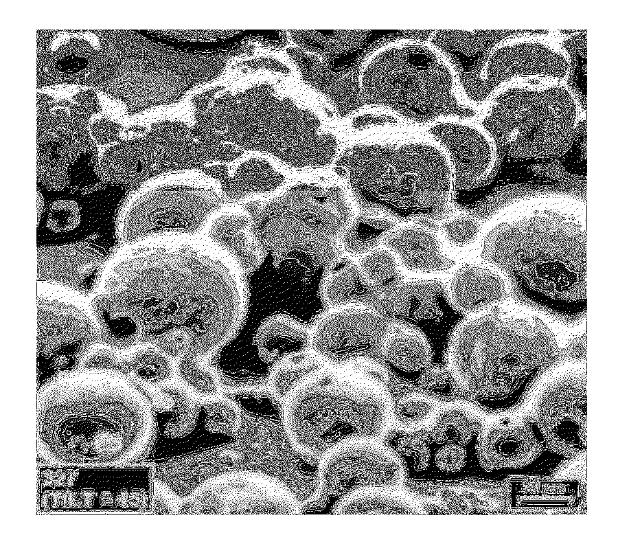 Abrasive products and methods for finishing hard surfaces