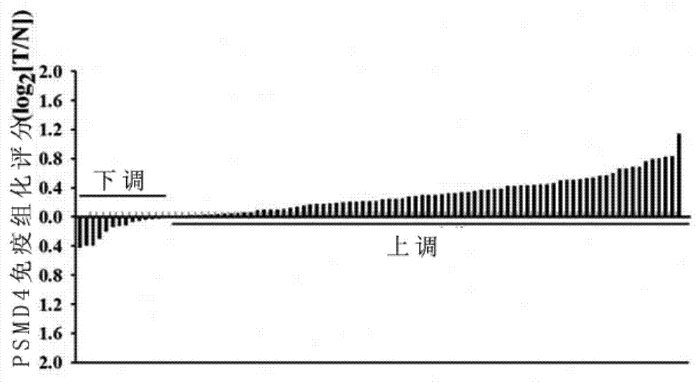 Application of PSMD4 protein in preparation of liver cancer prognostic evaluation kit