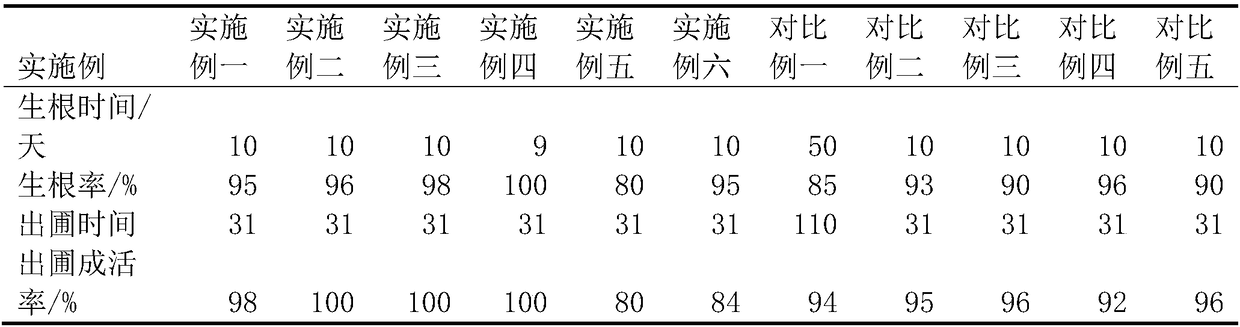 Cuttage culturing method for twigs of prunus X cistena