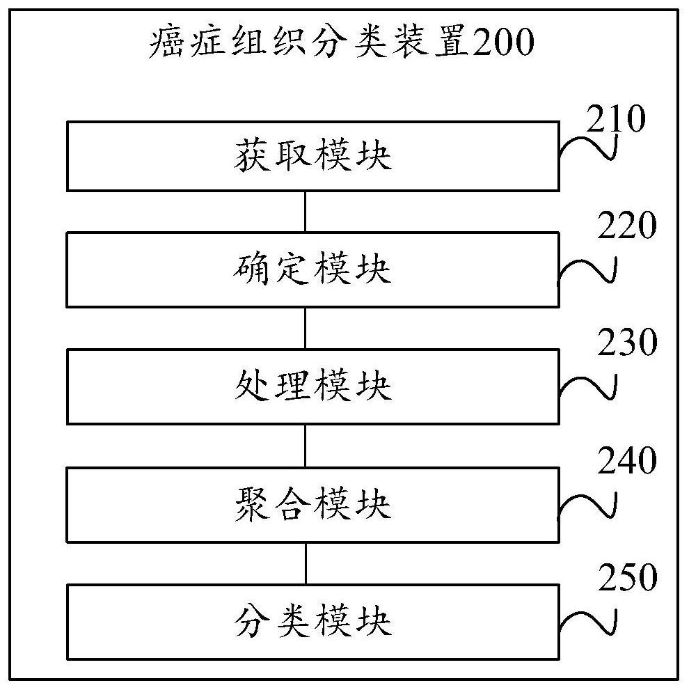 Cancer tissue classification method and device, electronic equipment and storage medium