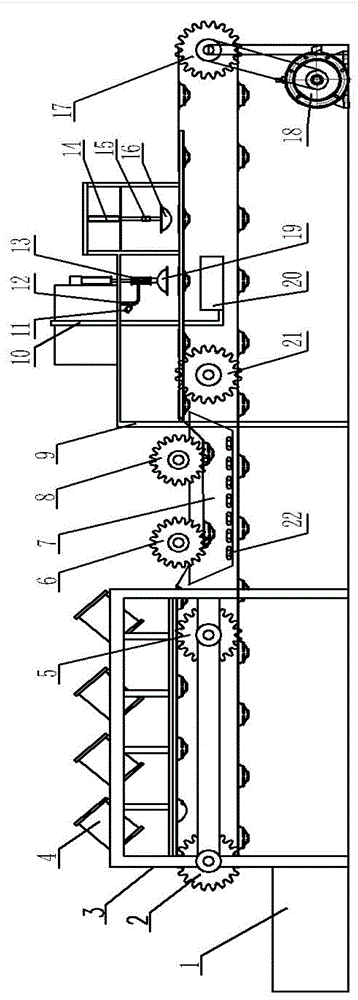 Rice crust production line