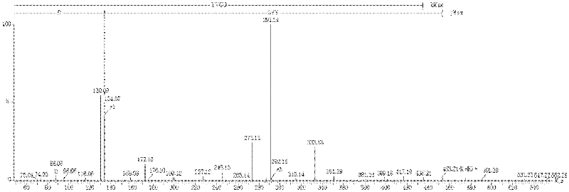 Gingko antioxidant active peptide and preparation method thereof