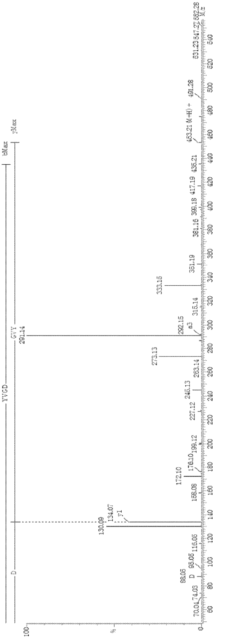 Gingko antioxidant active peptide and preparation method thereof