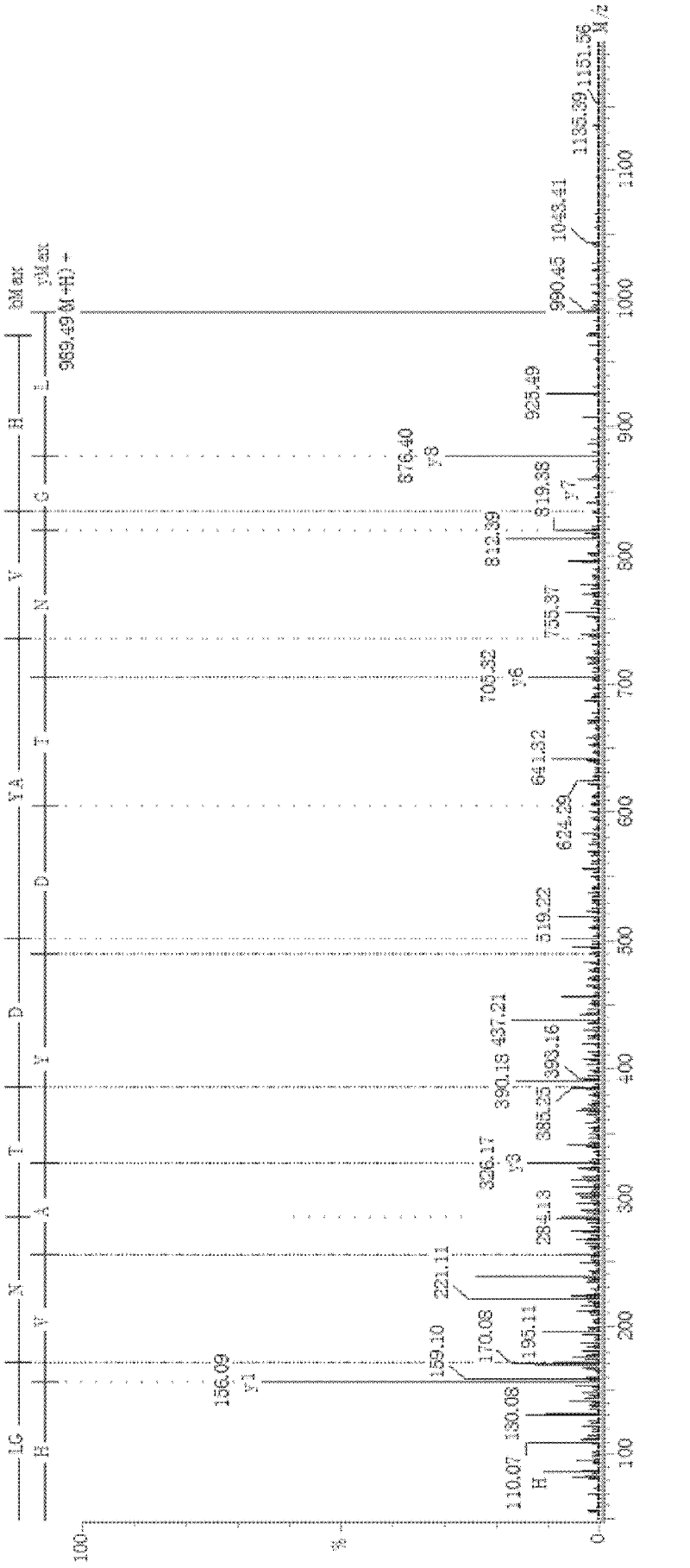 Gingko antioxidant active peptide and preparation method thereof