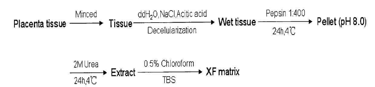 Novel animal source-free and feed layer-free human pluripotent stem cell culture system