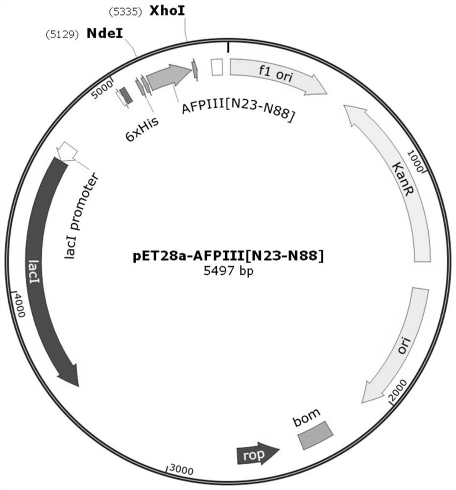 Biological cryoprotectant as well as preparation method and application thereof