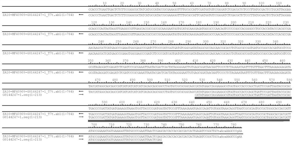 Biological cryoprotectant as well as preparation method and application thereof