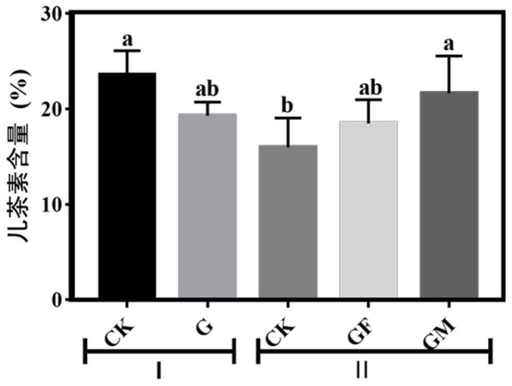 High-efficiency intercropping planting method for tea gardens