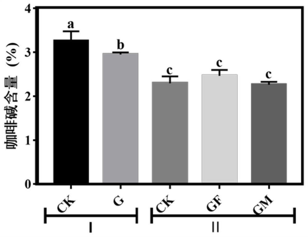 High-efficiency intercropping planting method for tea gardens