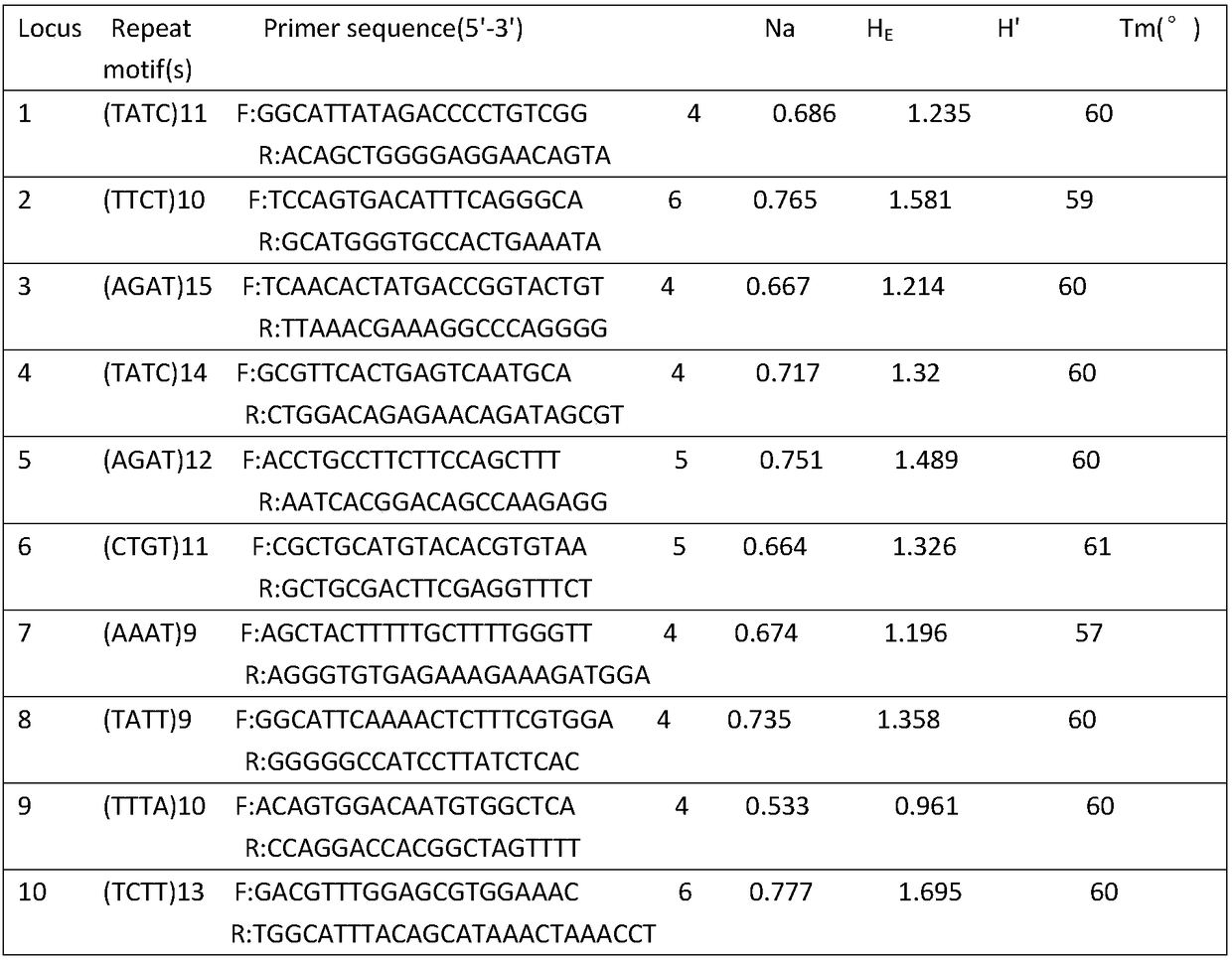 Microsatellite marker primer for starlet individual identification and individual identification method